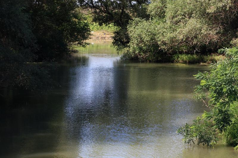 274-Delta del Danubio,7 agosto 2011.JPG